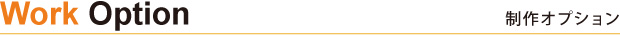 制作オプション